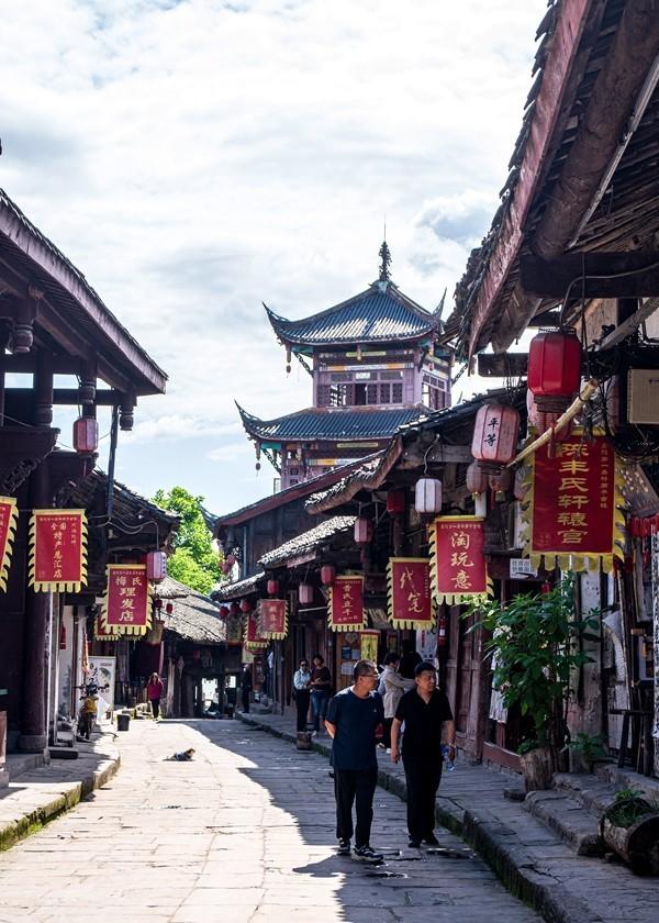 动物帮帮忙保卫家园